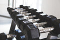 Majiq's 5 day workout
